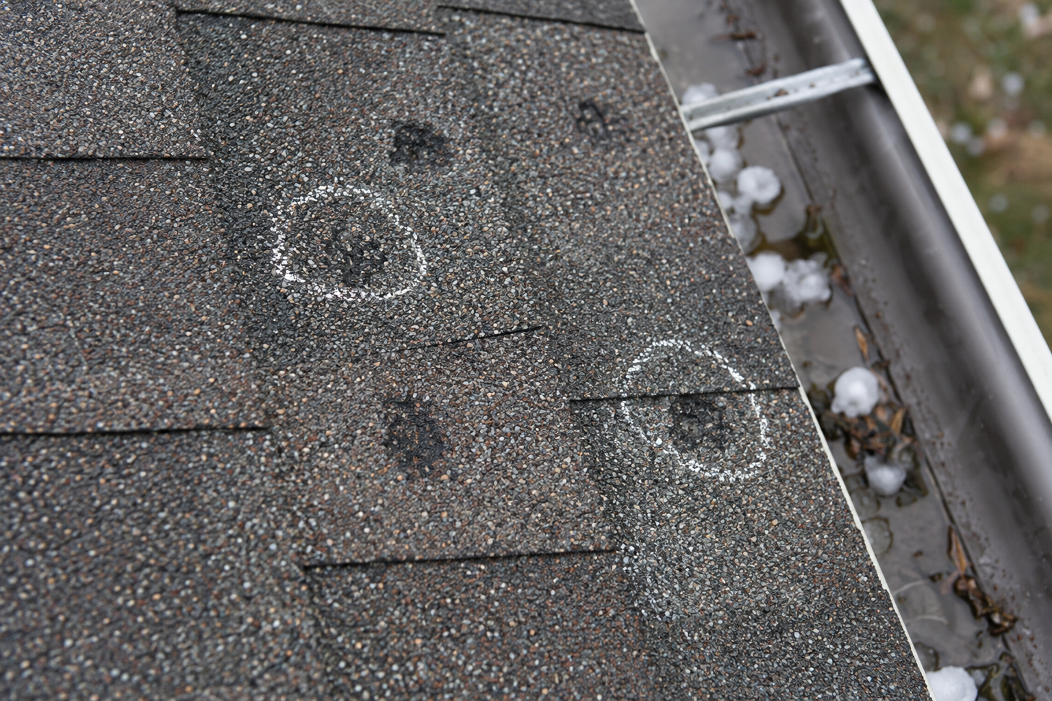 Hail-bruised shingles with granule loss circled in chalk
