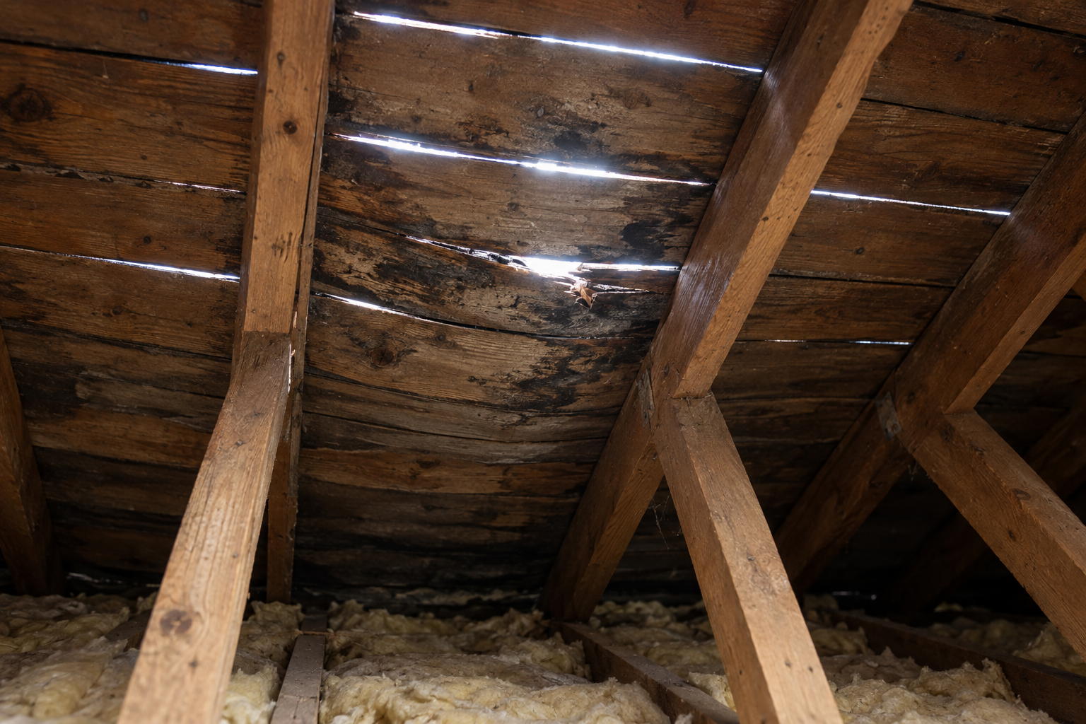 Daylight showing through gaps in old roof boards above the rafters of an unfinished attic